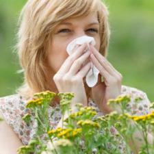 Allergies Air Cleaners